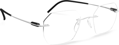 Style Name: 5561-LG 1540-5019