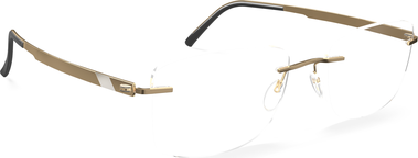 Style Name: 5558-DC 7680-5419